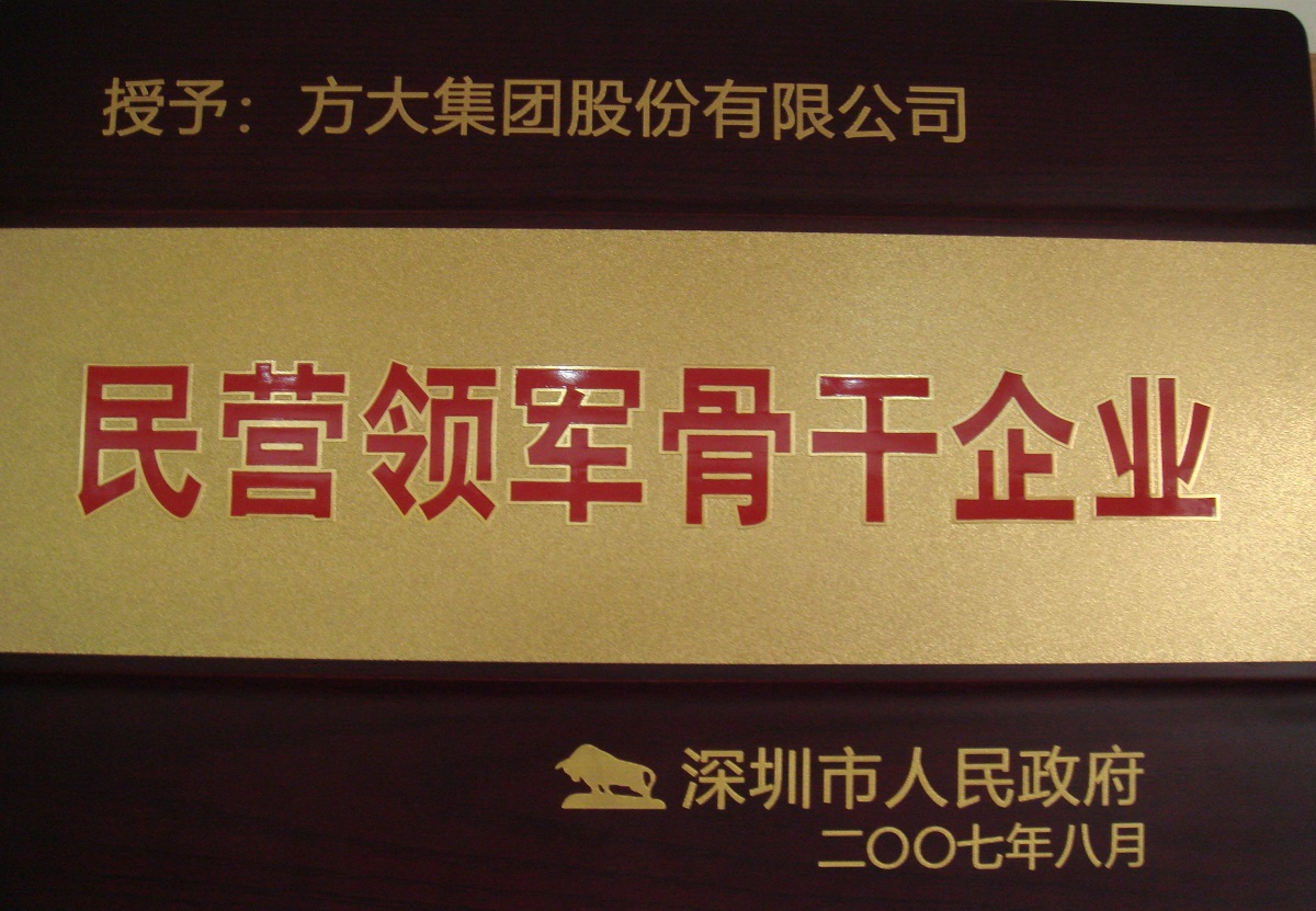 2007  民營領軍骨干企業(yè)